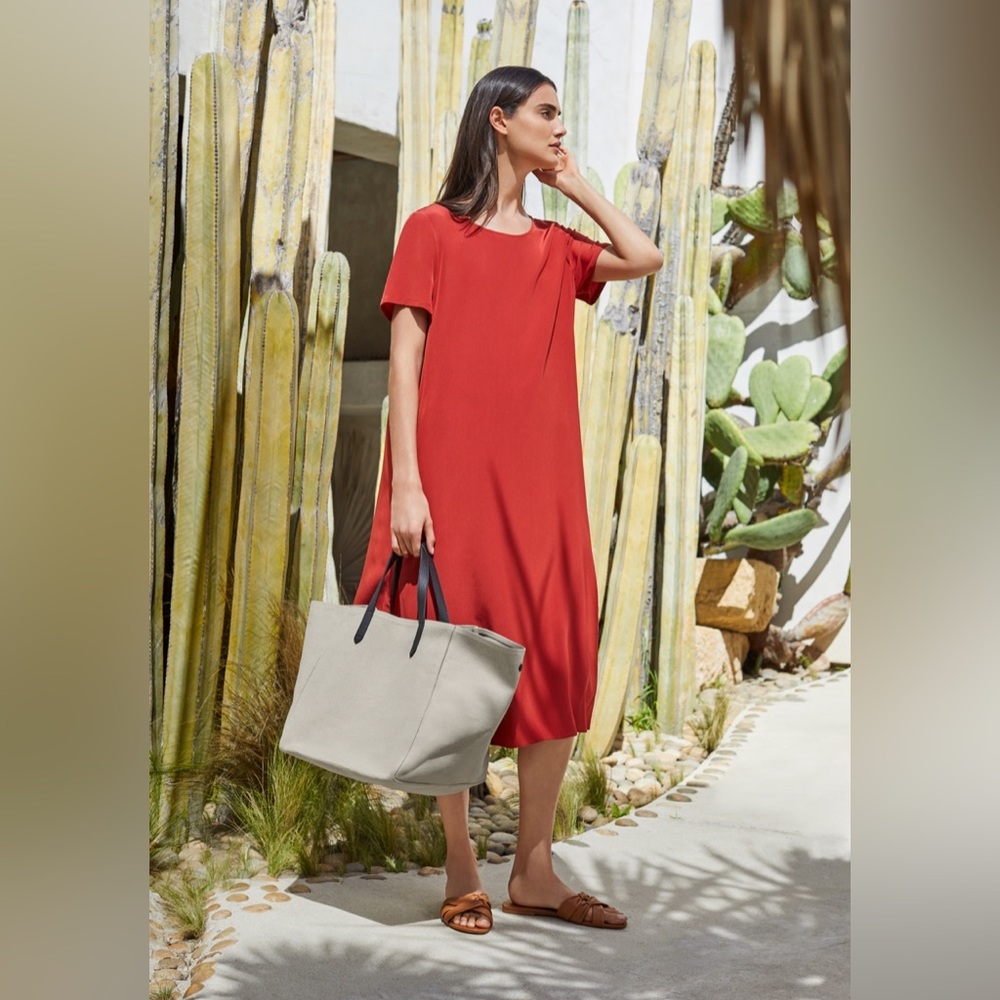 Cuyana Silk Pleat Back Tee Dress SPRING 2019